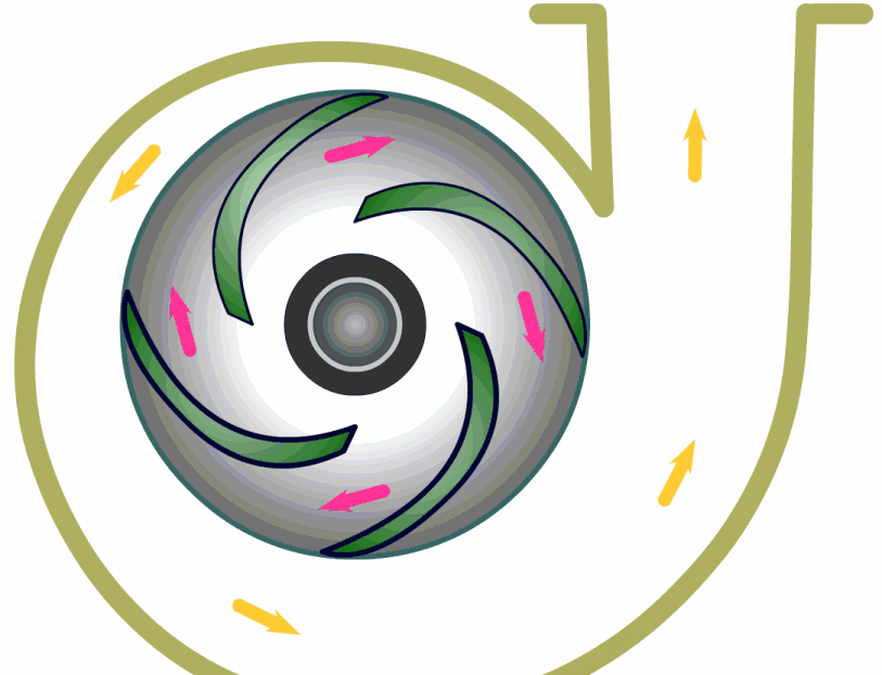 離心泵基本結構動圖演示 離心泵基本結構動圖演示