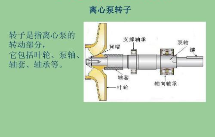 離心泵轉(zhuǎn)子 離心泵轉(zhuǎn)子