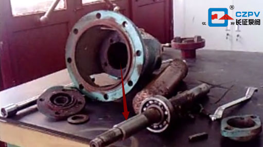 循環(huán)水泵的拆裝順序圖 循環(huán)水泵的拆裝順序圖