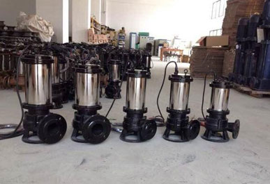 圖1不銹鋼潛水排污泵 圖1不銹鋼潛水排污泵