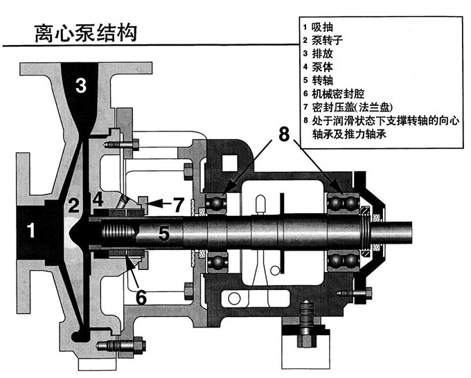 離心泵結構圖 離心泵結構圖