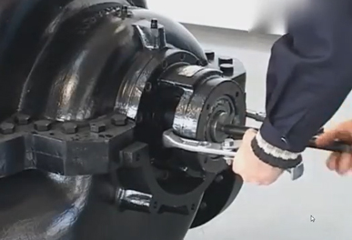 雙吸泵裝配圖 雙吸泵裝配圖