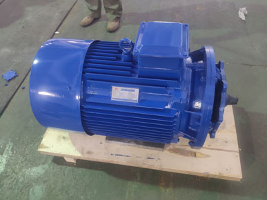 高低溫循環泵電機 高低溫循環泵電機