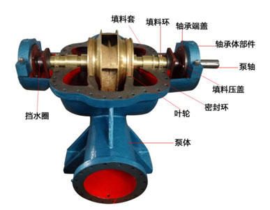 雙吸泵結(jié)構(gòu)圖 雙吸泵結(jié)構(gòu)圖