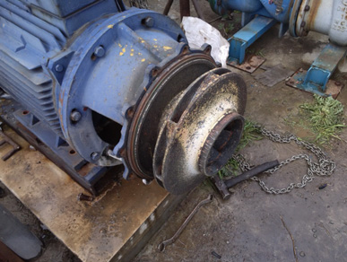 循環(huán)水泵 循環(huán)水泵